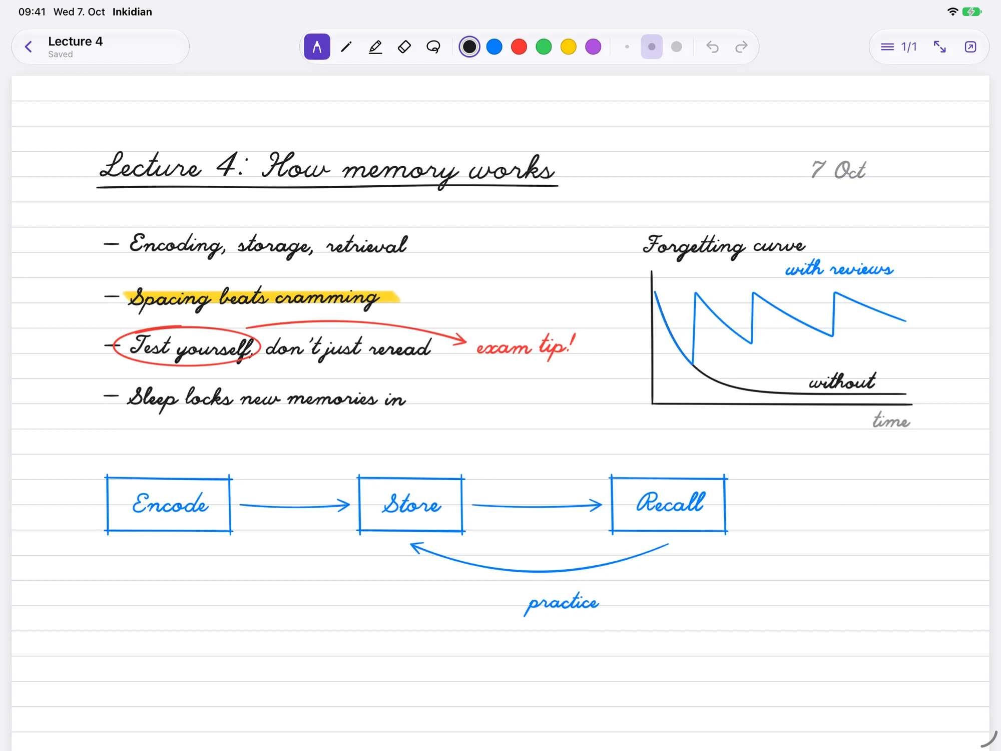 A handwritten lecture note in Inkidian on iPad, with a highlighted line, a circled phrase with an arrow to a margin note, a small diagram and a sketched graph.